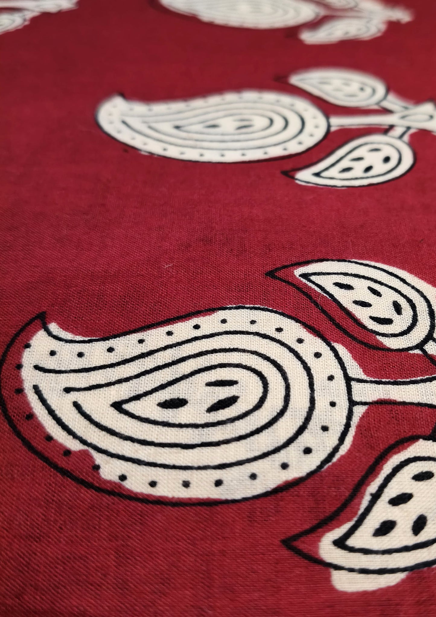 Bagru Handblock Print Suit B7- Red3