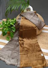 Chanderi Tissue Saree Dhup-Chav- Gold Copper - Wefta