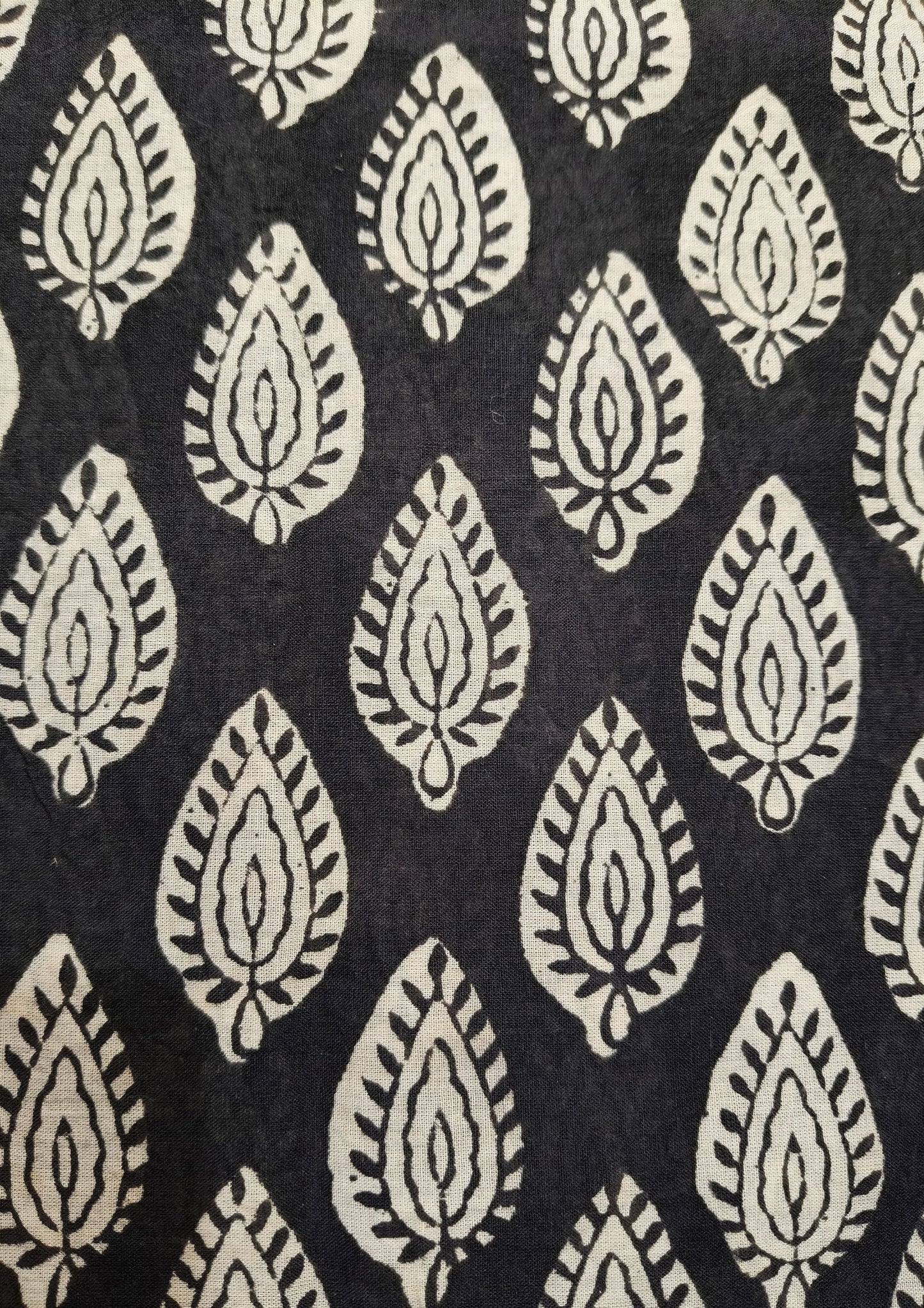 Bagru- Handblock print Cotton Saree- Black