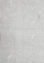 Chanderi Tissue Saree Meena Phool Buti- White