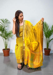Maheshwari Silk Suit Set - Green M20 - Wefta