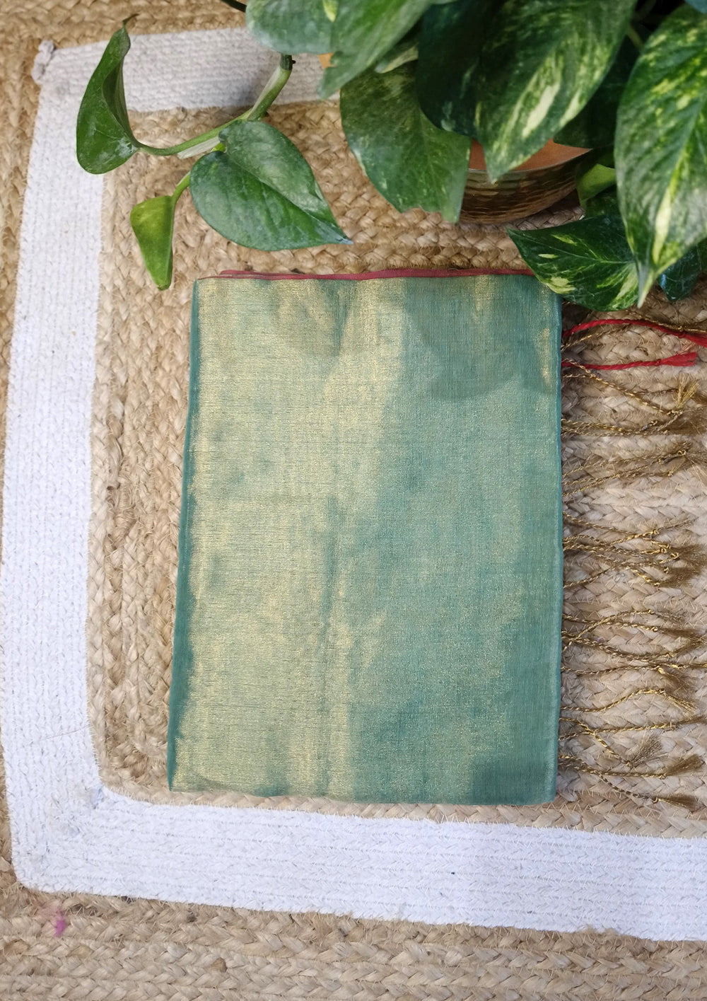 P Tissue - Gr1 - Wefta